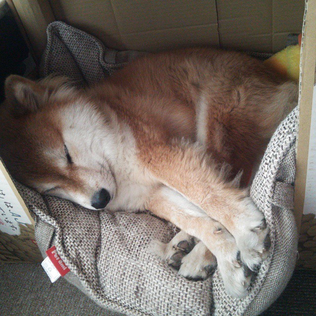 热带闪电 vs 红军铁壁,基米希在年度跨洲焦点战中接管赛场