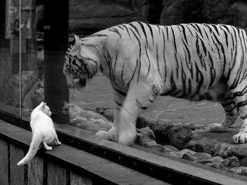 末节圣剑，保罗·乔治13分的史诗逆转，与乔丹德罗赞的灵魂对话