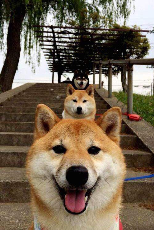 当篮球变成钢铁、灯光与永不停歇的纽约