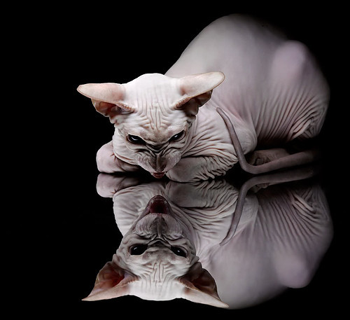 雷火电竞-从夜航船到破晓号角，范弗利特统领骑士奇迹翻盘马刺