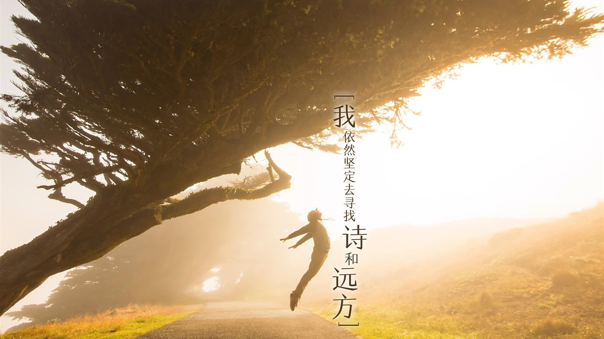 地中海与撒哈拉的碰撞，提前终结悬念，门迪成为关键先生