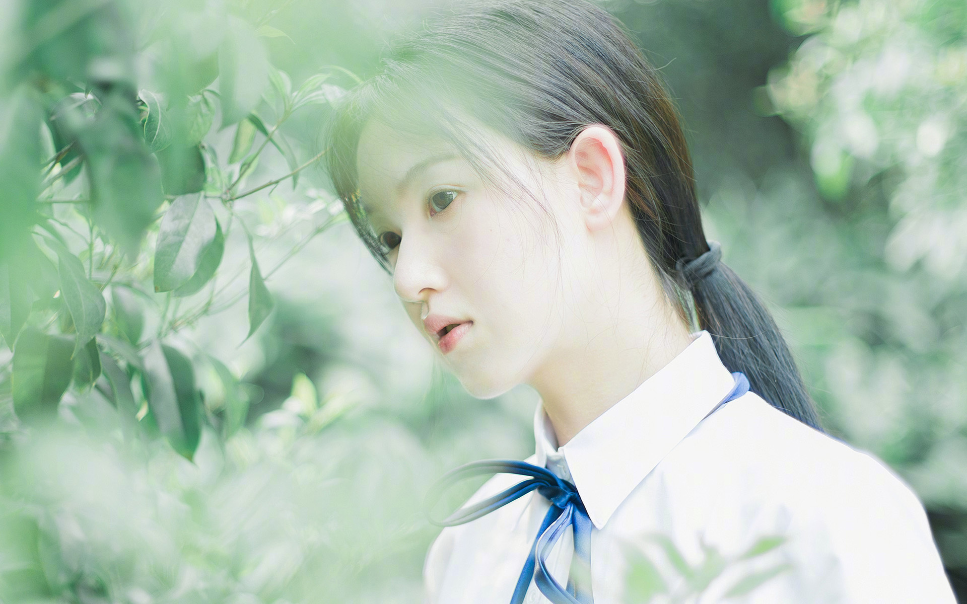 雷火电竞官网-刺客之夜，当范弗利特在终场前撕碎魔术师的最后一张牌