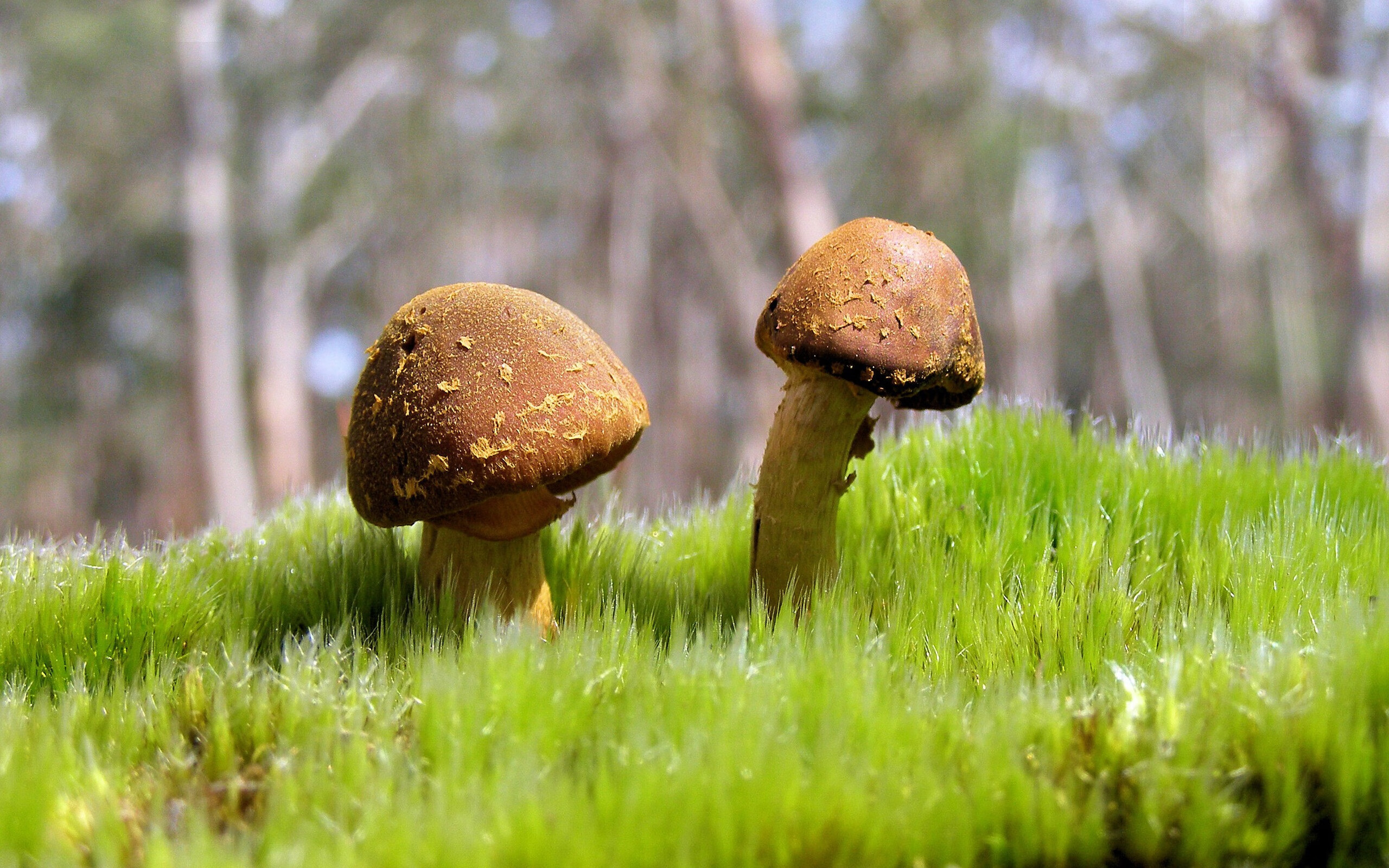 最后三分钟，切尔西少年让全世界看到奇迹的模样