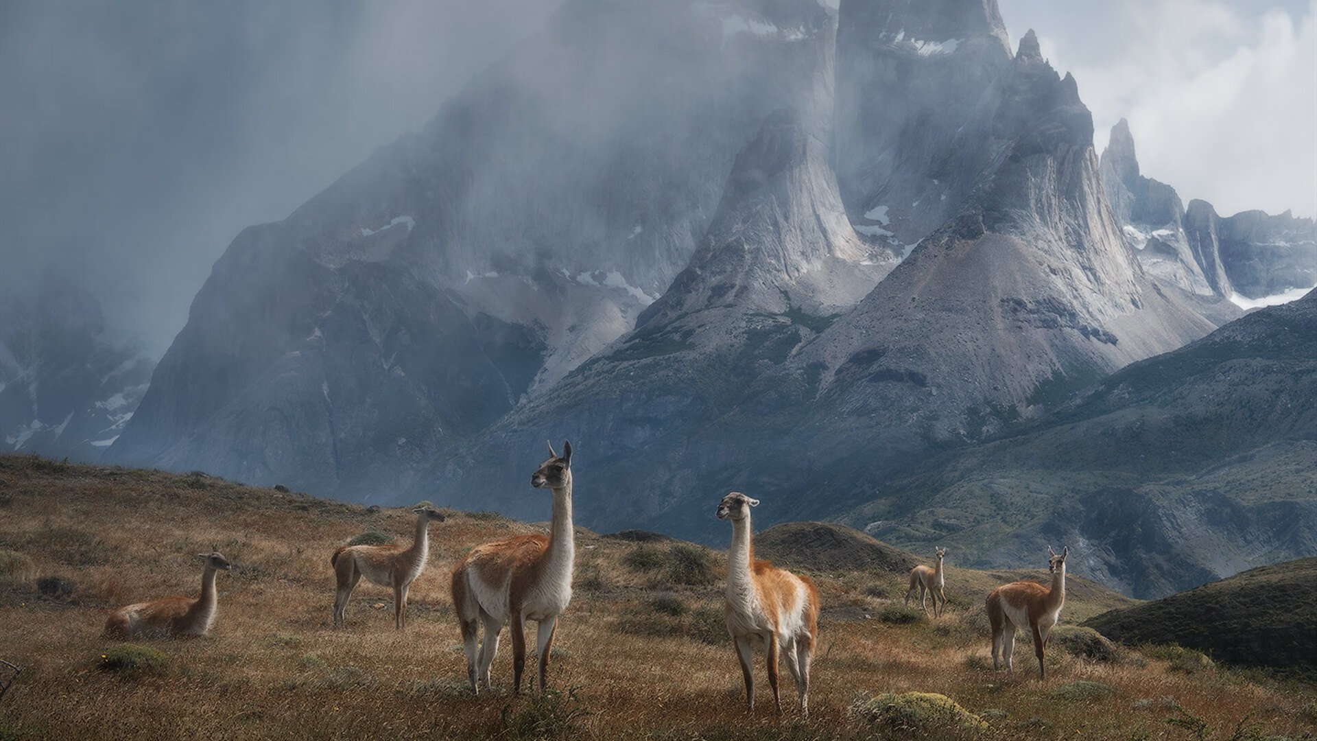 孤独的火炬与熄火的战车，加维史诗表演如何被哥伦比亚扼杀于星链中