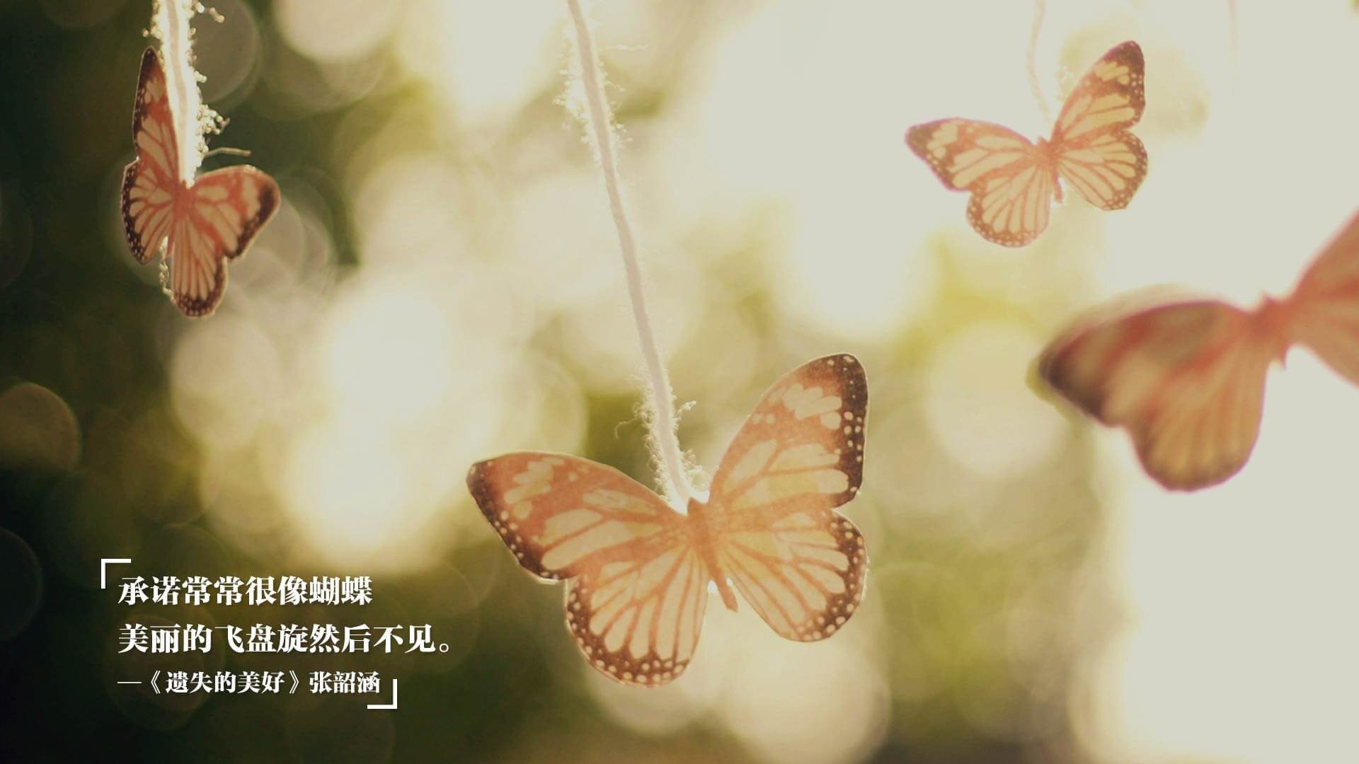 南半球冰封，墨尔本街道上，一场瑞典封锁战