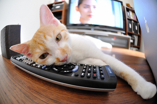 东方烈焰点燃绿茵，富安健洋主宰赛场，澳大利亚压哨绝杀比利亚雷亚尔