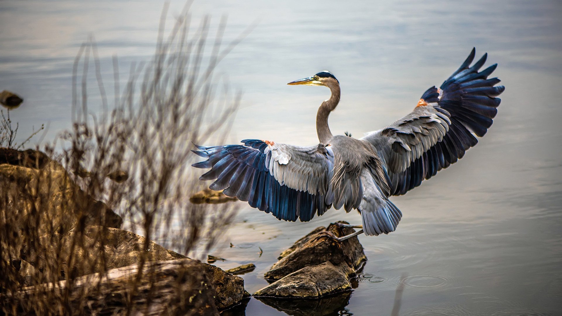 铁血与意志，当拜仁慕尼黑在欧冠决赛邂逅乌拉圭之魂