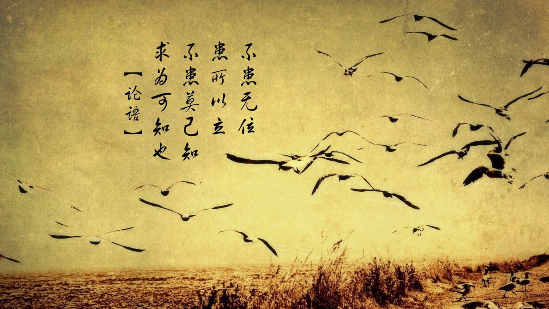 中场变速，楚阿梅尼在摩纳哥之夜的重生