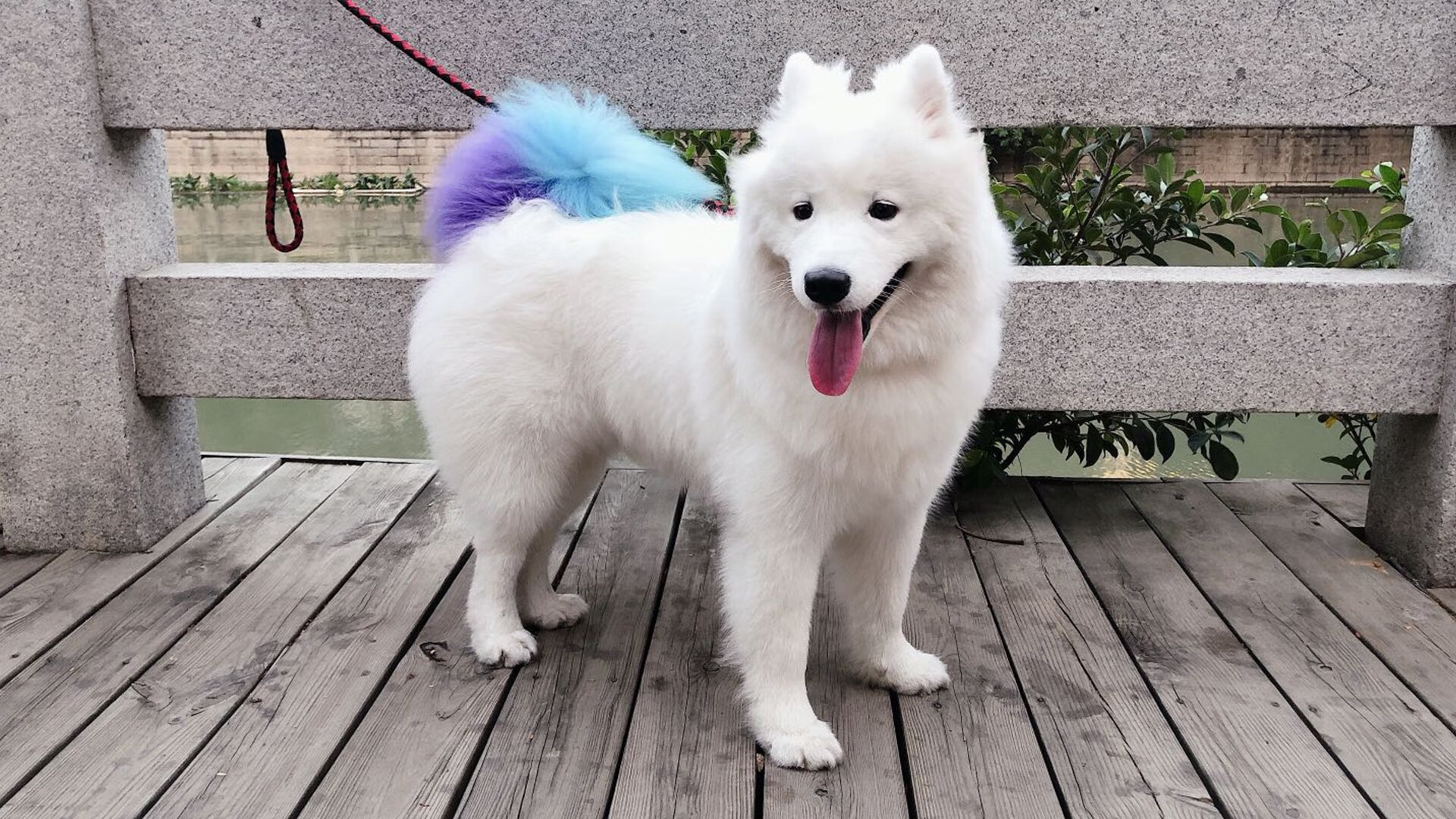 绿茵场上的双重奏,比利亚雷亚尔威压威尔士,伊布英超争冠时刻的绝对统治