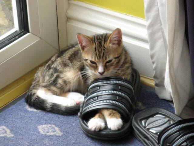 五指山落下，皮克四分钟的匕首，如何提前锁定国家德比之夜