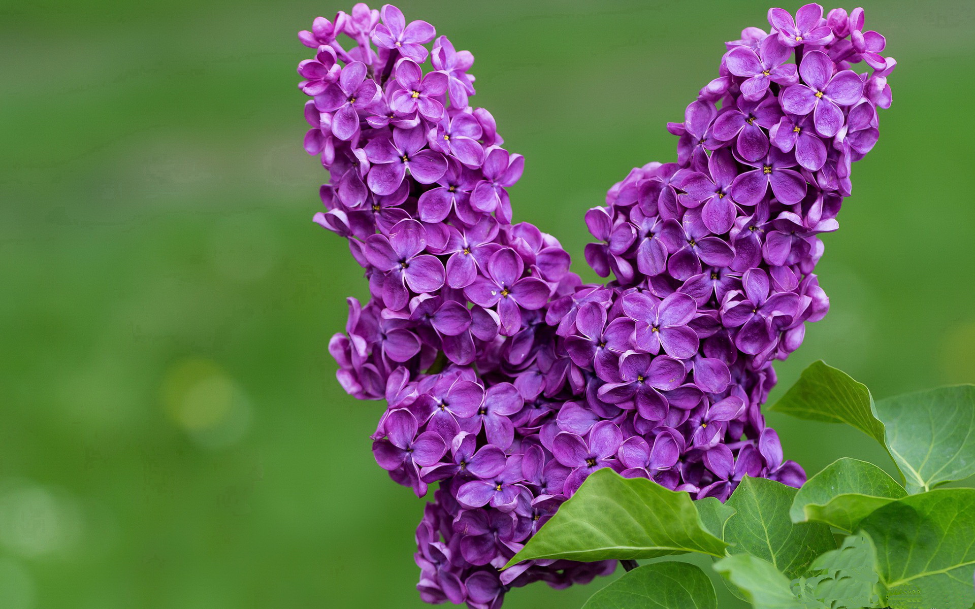 雷火电竞-时空折叠的德比夜，当文班亚马降临伯纳乌