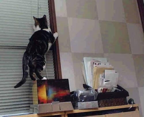 雷火电竞入驻-神迹皆在寻常处，欧冠决赛夜与拉梅洛的隐秘天启