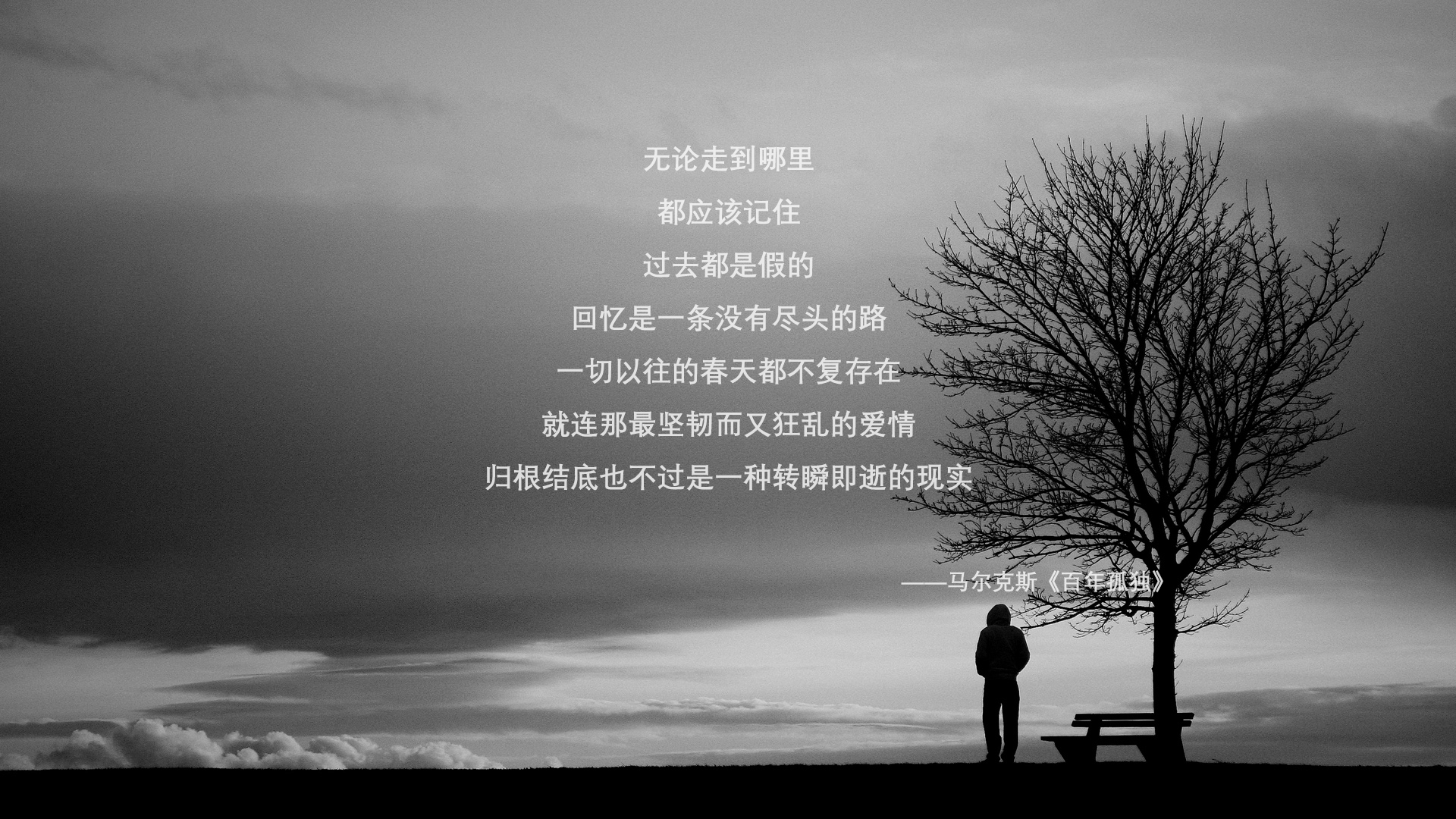 完美防线对决,当范戴克遇到阿坎吉,欧洲之巅见证大场面先生的诞生