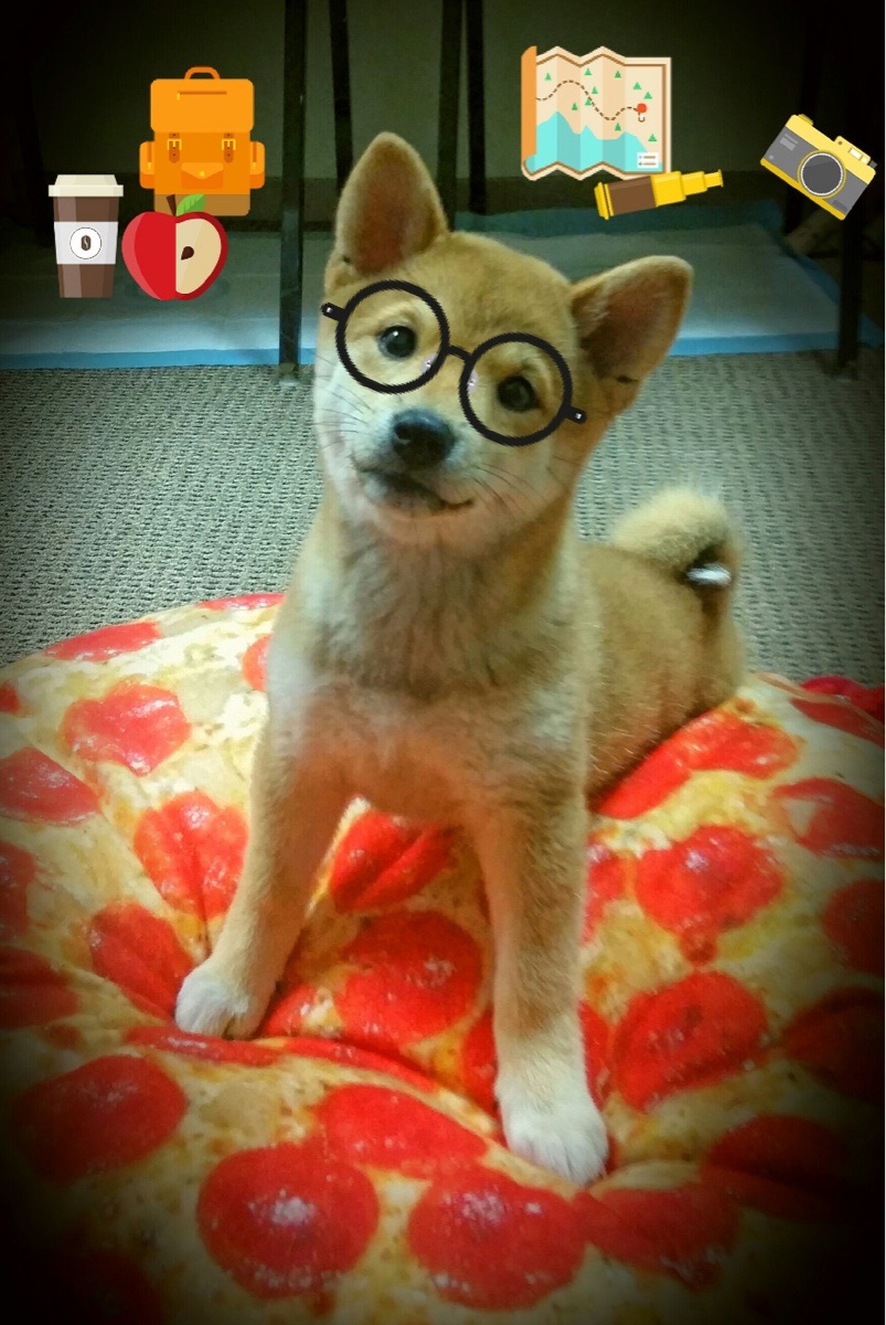 雷火电竞网站-巨人倒地的轰鸣，阿坎吉的烈火，踏平奥林匹亚山