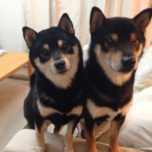 雷火电竞网站-驶向绝对的影子，当凯恩的战车面对赫耳墨斯无解的雾