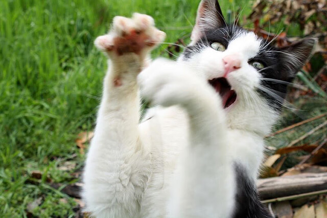 雷火电竞简介-一秒钟的两种人生，凯塞多的脚尖，如何改写了欧冠的时间线