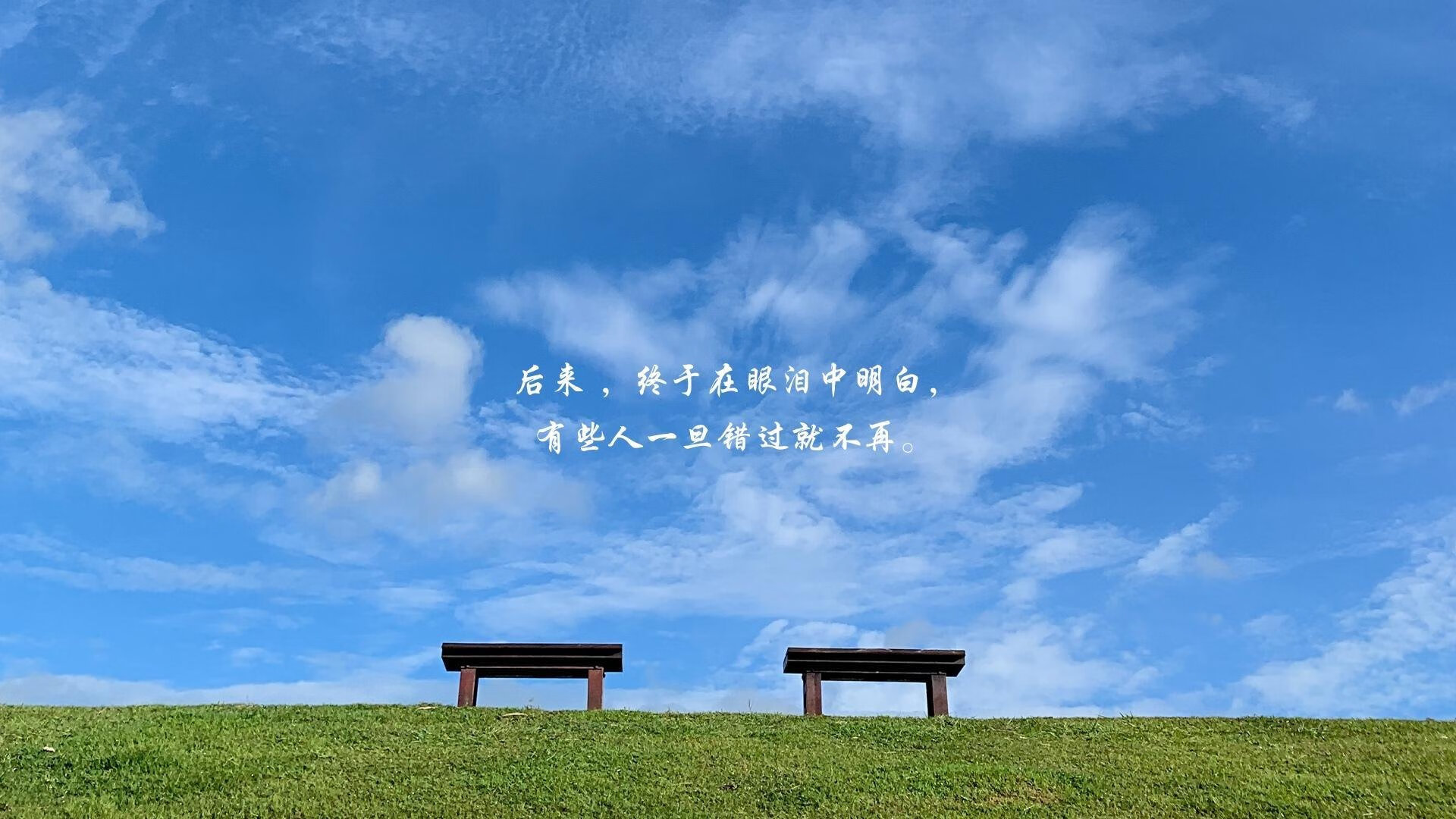 南美烽火燃卢赛尔，2026世界杯A组唯一定义—维尼修斯独舞，厄瓜多尔以血性撕碎智利