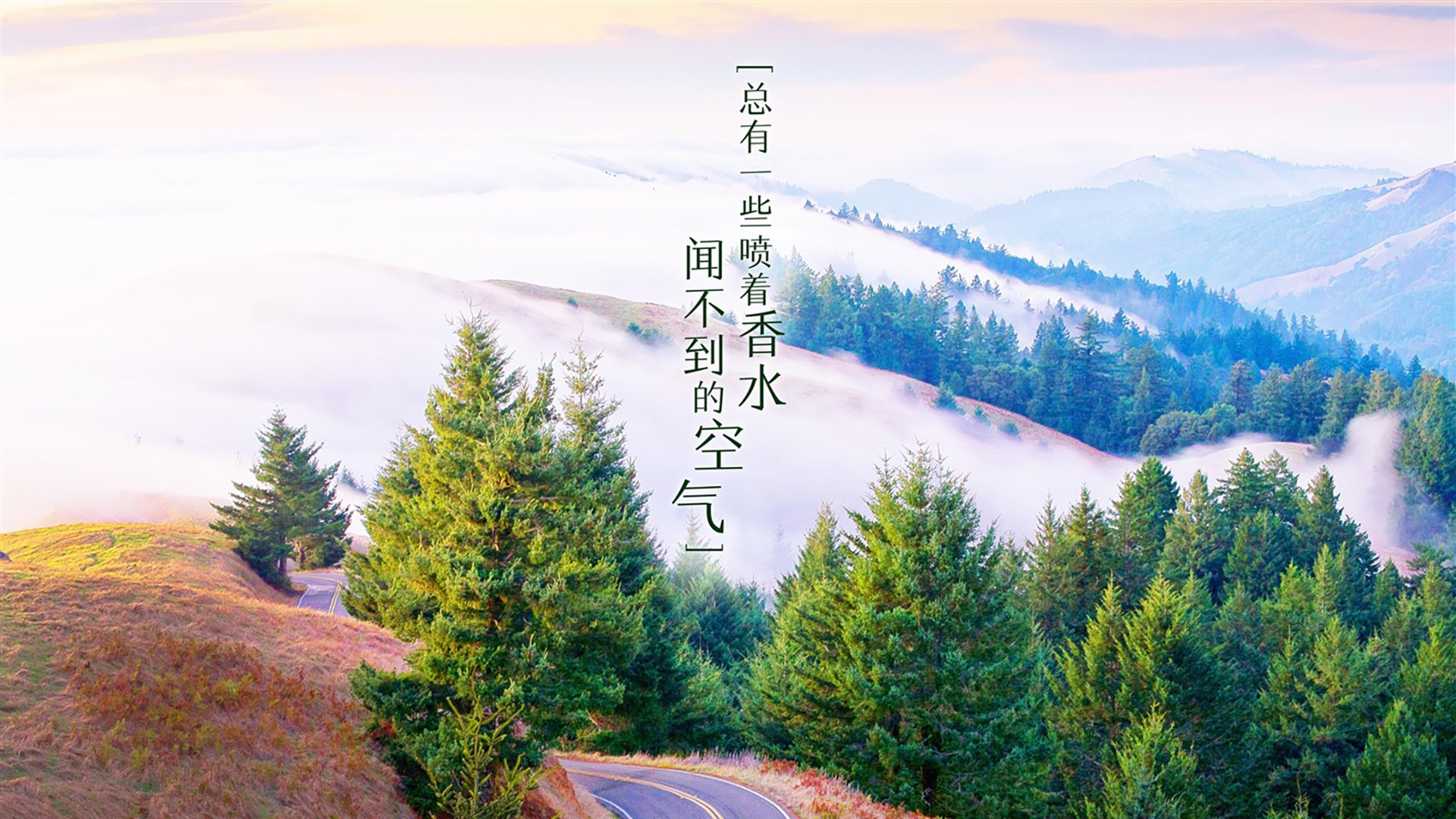 北境之刃与东欧铁骑的黄昏,坎塞洛的压哨绝杀,以及2026世界杯C组那场改写宿命的唯一瞬间
